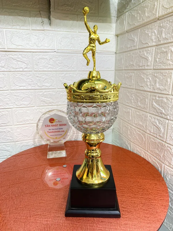 Cúp Bóng Rổ Pha Lê Đẹp -3