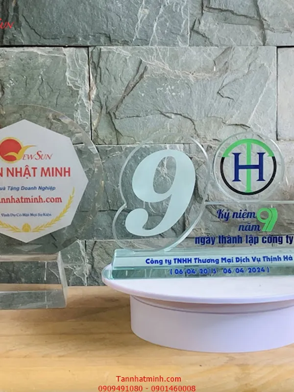 Kỷ niệm chương số 9