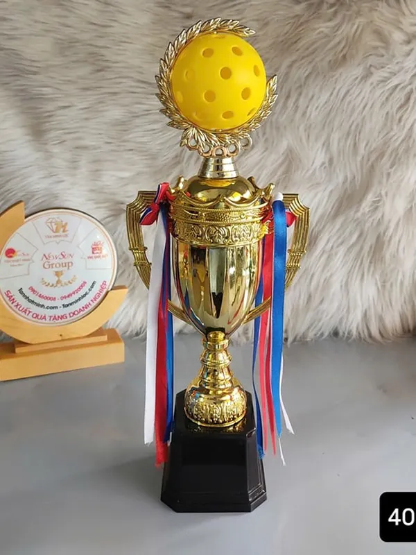 Mẫu Cúp Pickleball Nhựa Giá Rẻ (3)