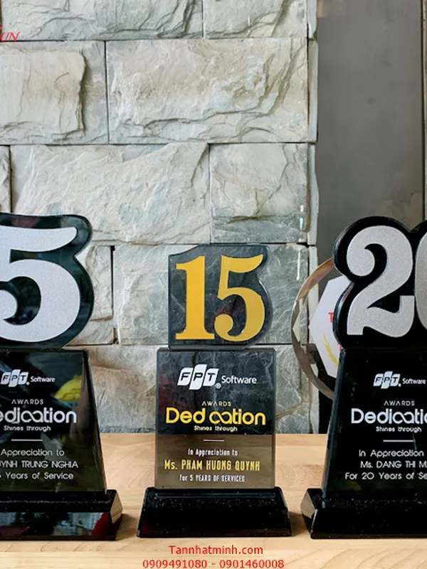 Kỷ niệm chương số 15