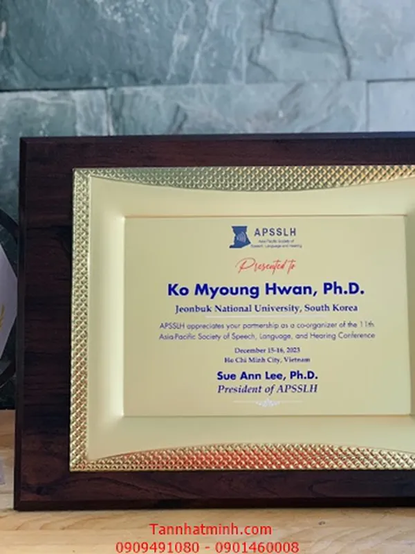 Bảng vinh danh Nhân viên, Biểu trưng Gỗ đồng - kim loại nhập - 2