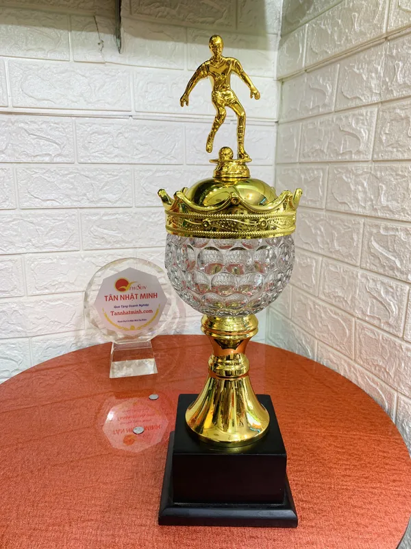 Mua cúp bóng đá, cúp thể thao kim loại ( Giá bán lẻ)- 33