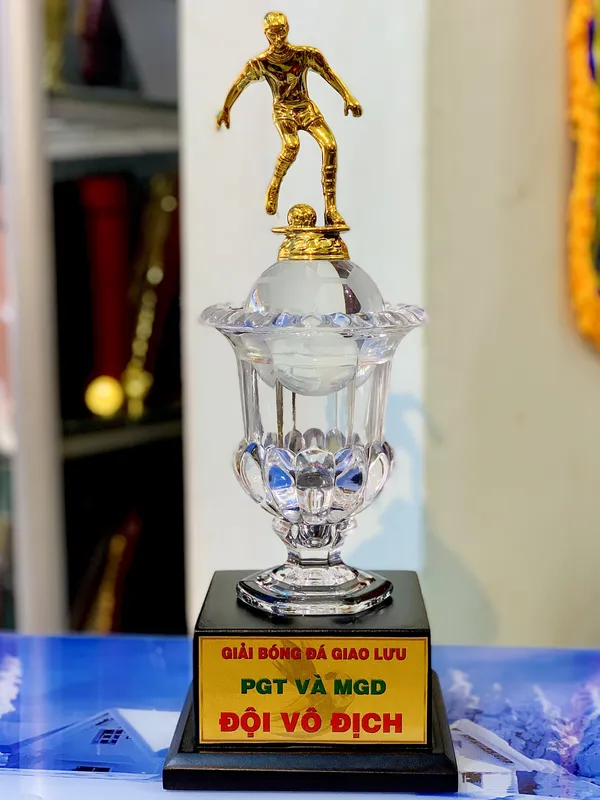 Cúp kim loại, Bán cúp bóng đá, cúp thể thao ( Giá bán lẻ)- 31