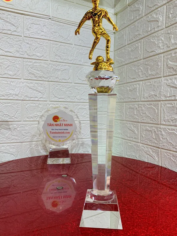 cúp thể thao, cúp lưu niệm ( Giá bán lẻ)- 29