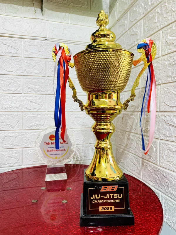 cúp lưu niệm , cúp thể thao ( Giá bán lẻ)- 28