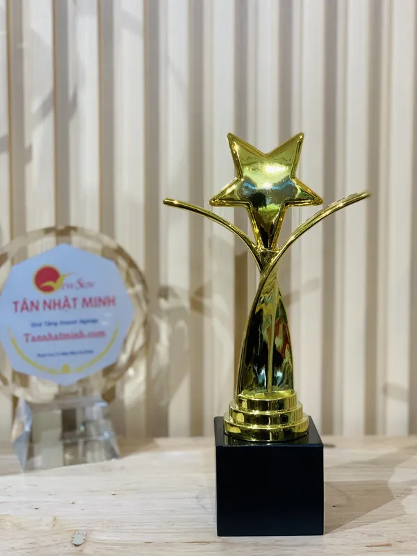 Cúp nhựa giá rẻ 12