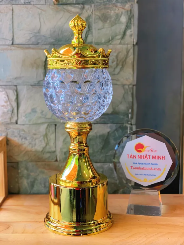 cúp lưu niệm, cúp thể thao ( Giá bán lẻ)- 26