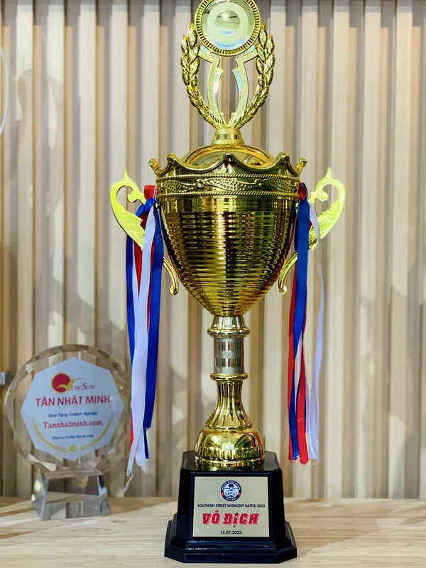 cúp lưu niệm, cúp thể thao ( Giá bán lẻ)- 25