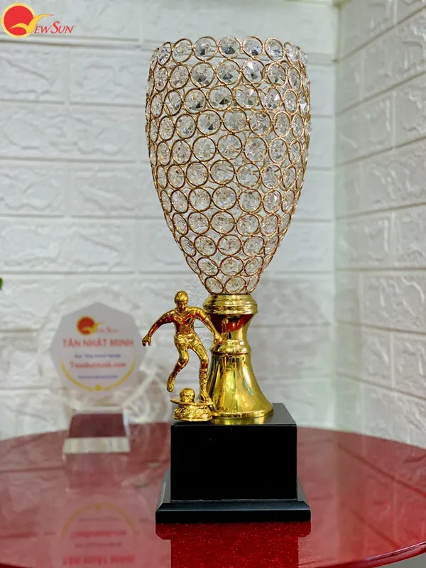 Mua cúp bóng đá, Bán cúp bóng đá ( Giá bán lẻ)- 24