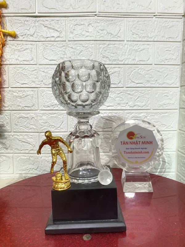 Mua cúp bóng đá, Bán cúp bóng đá - 14