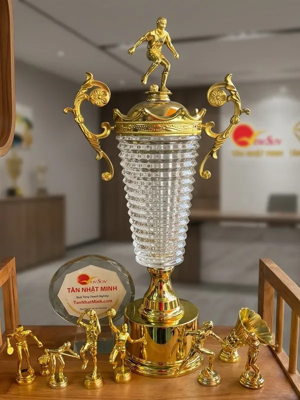 Mẫu Cúp Bóng Đá Lưu Niệm Đẹp Đa Màu 12