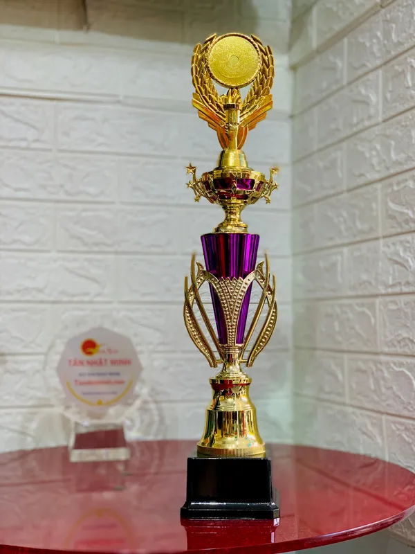 Cúp nhựa giá rẻ 7