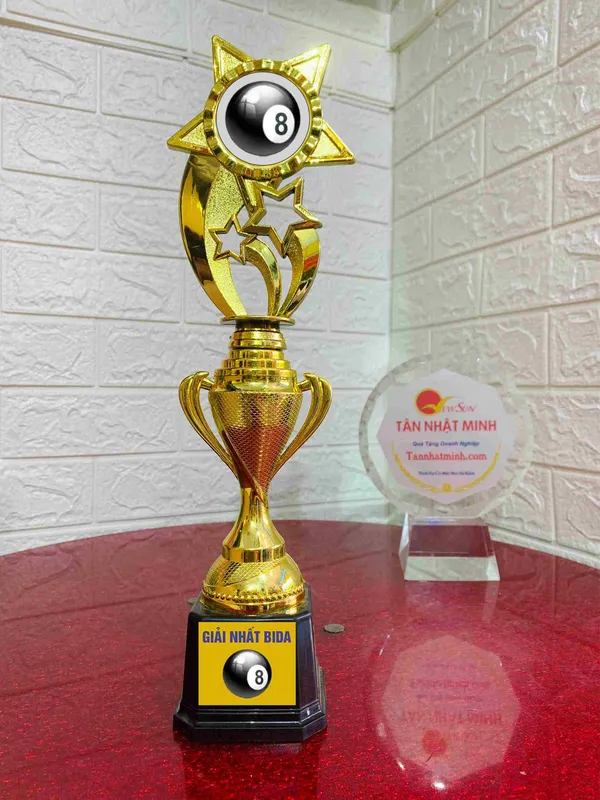 Đặt Mua Cúp Bida Giá Rẻ (8)