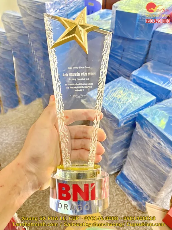 Cúp pha lê giá rẻ 5