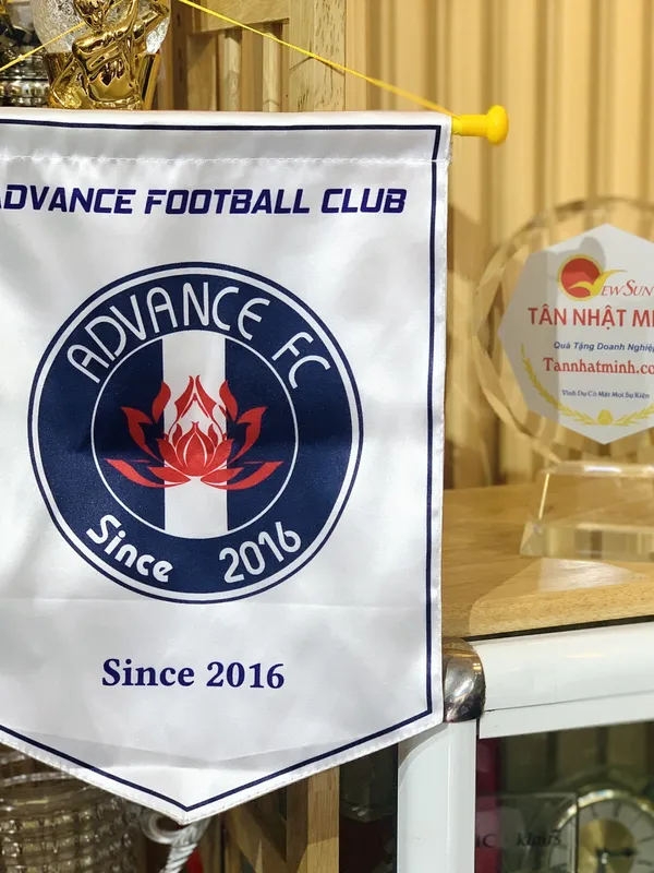 Cờ lưu niệm giá rẻ  (3)