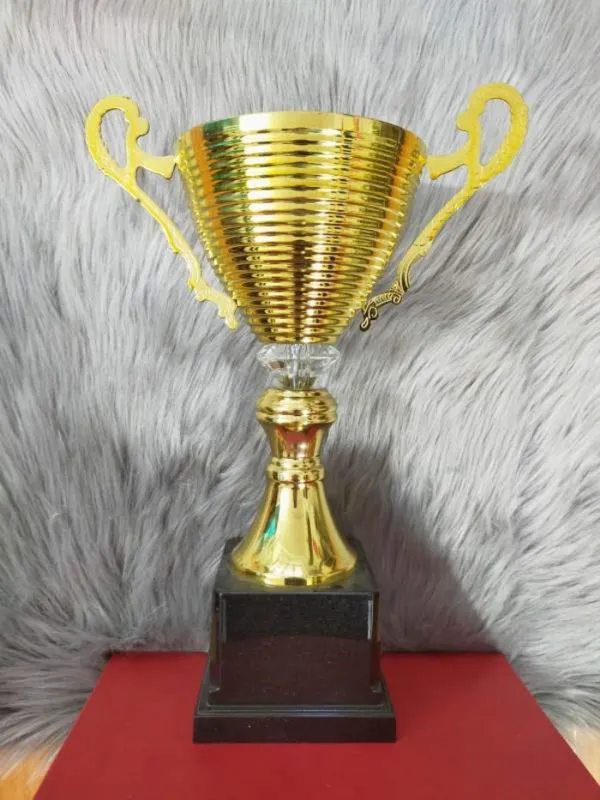Mua cúp bóng đá, Bán cúp bóng đá  ( Giá bán lẻ)- 30