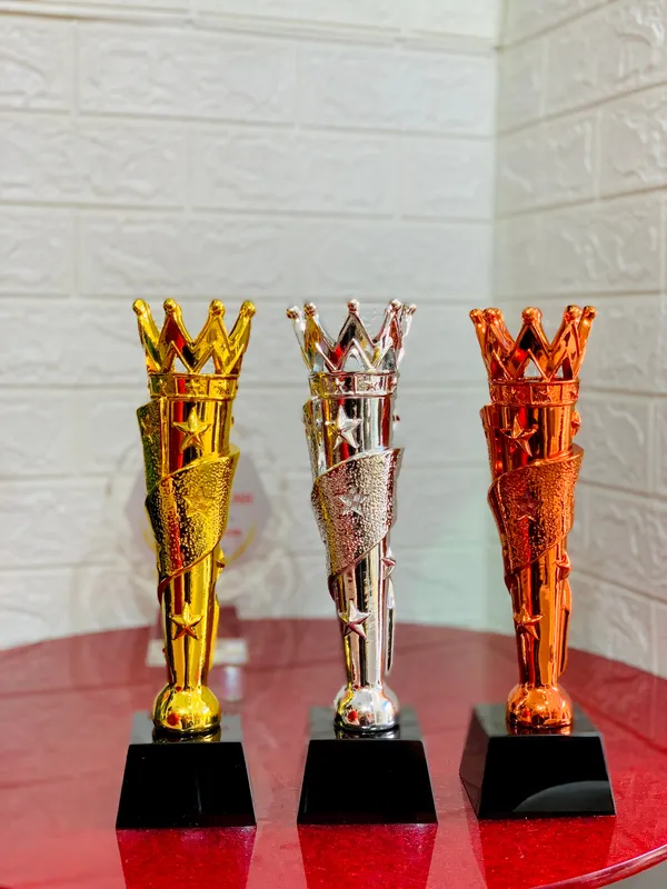 Cúp vinh danh, cúp lưu niệm mạ vàng 8