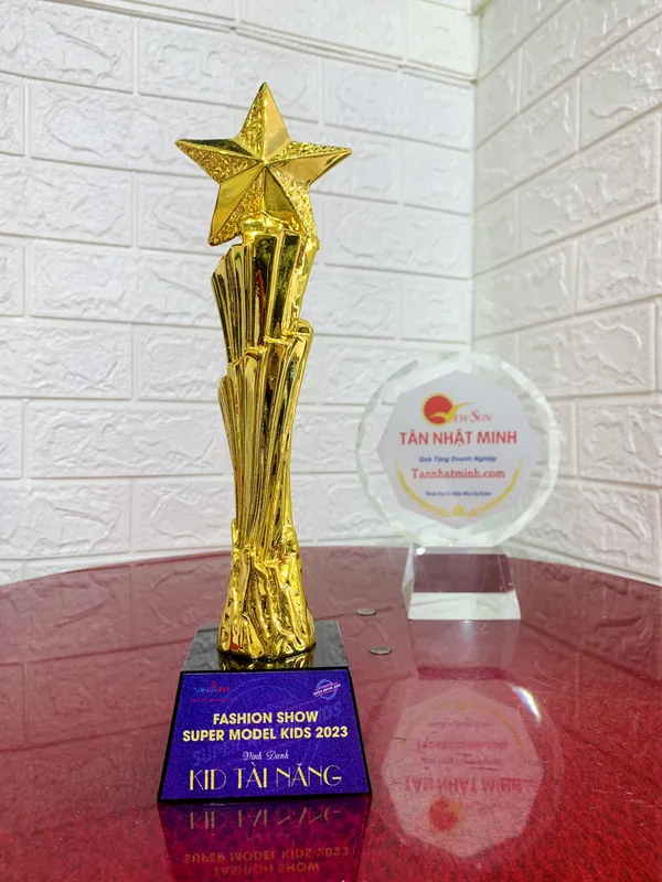 Cúp lưu niệm mạ vàng 16