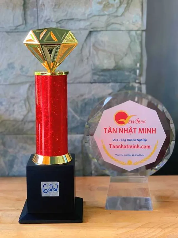 Mẫu Cúp Vinh Danh Ấn Độ Đẹp (662)