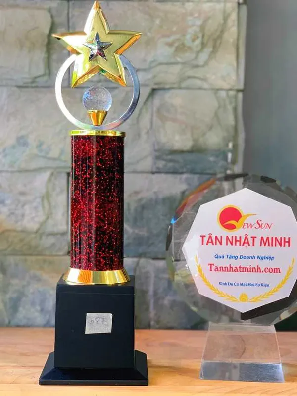 Cúp Vinh Danh Ấn Độ Đẹp Giá Rẻ (587)