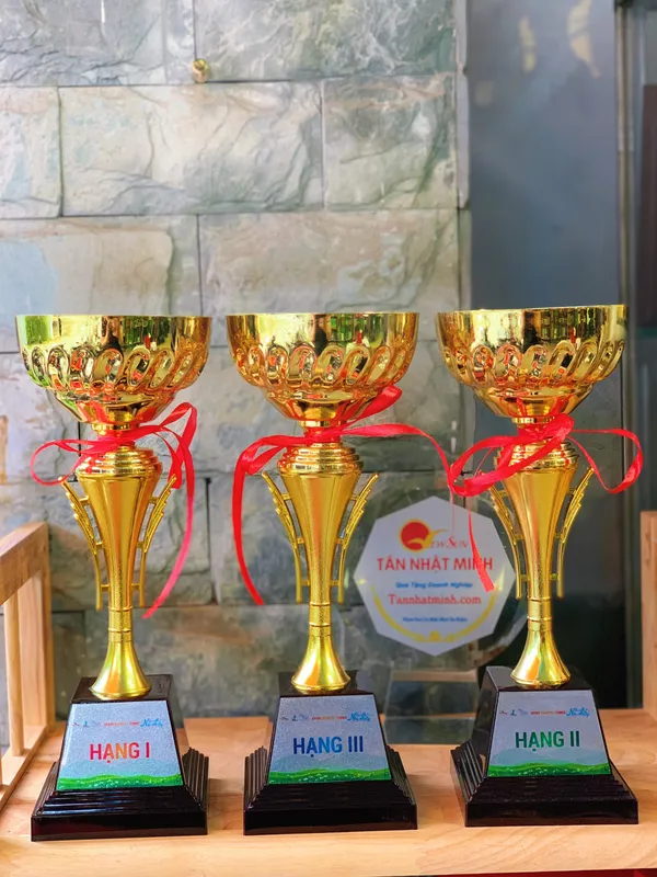Cúp thể thao kim loại 11