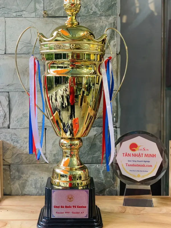 Cúp thể thao kim loại 7