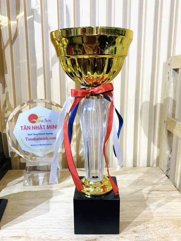 Cúp thể thao kim loại 3
