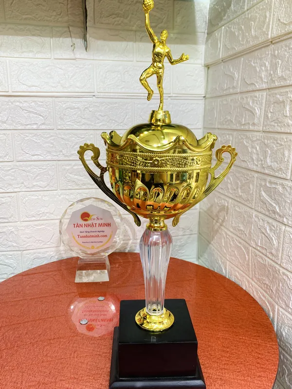 Cúp thể thao kim loại 2