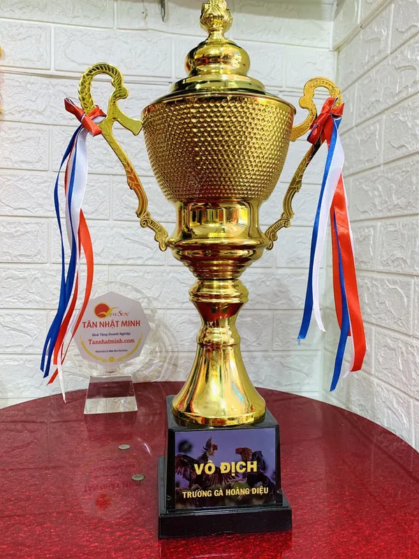 Mua cúp bóng đá, cúp lưu niệm, 3