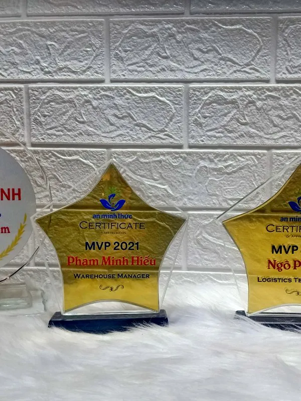 Kỷ niệm chương pha lê, Xưởng sản xuất pha lê, vinh danh nhân viên (25)