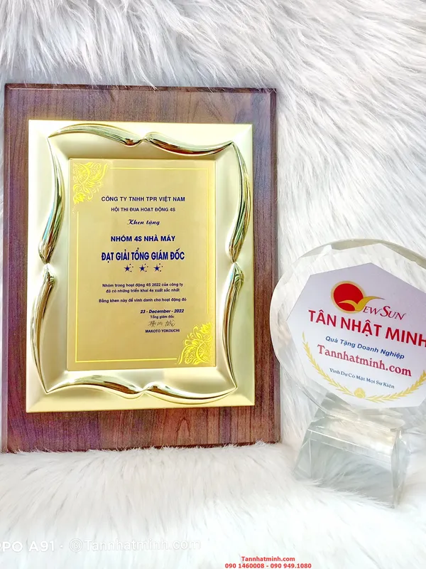 Bảng vinh danh, Biểu trưng gỗ đồng, in Kỷ niệm chương gỗ yêu cầu (3)