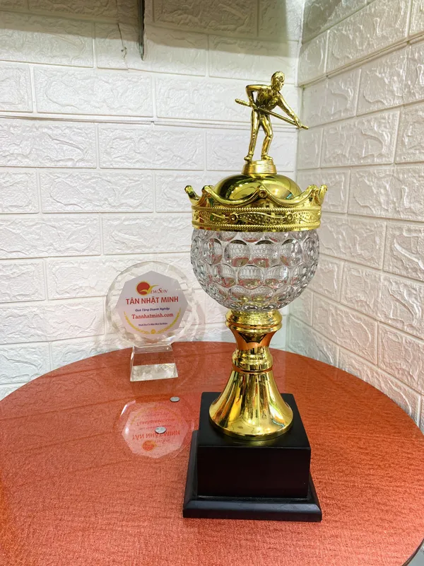 Cúp Bida Kim Loại (12)