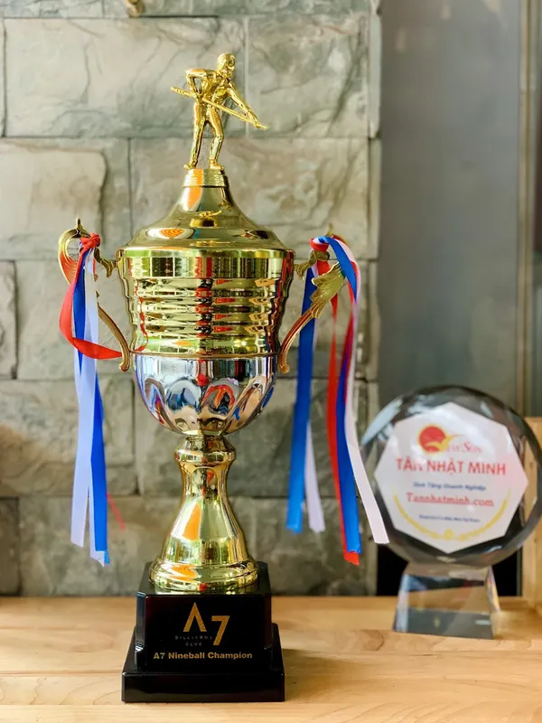 TOP Các Mẫu: Cúp Bida, Cúp billiard Đẹp Rẻ (2)