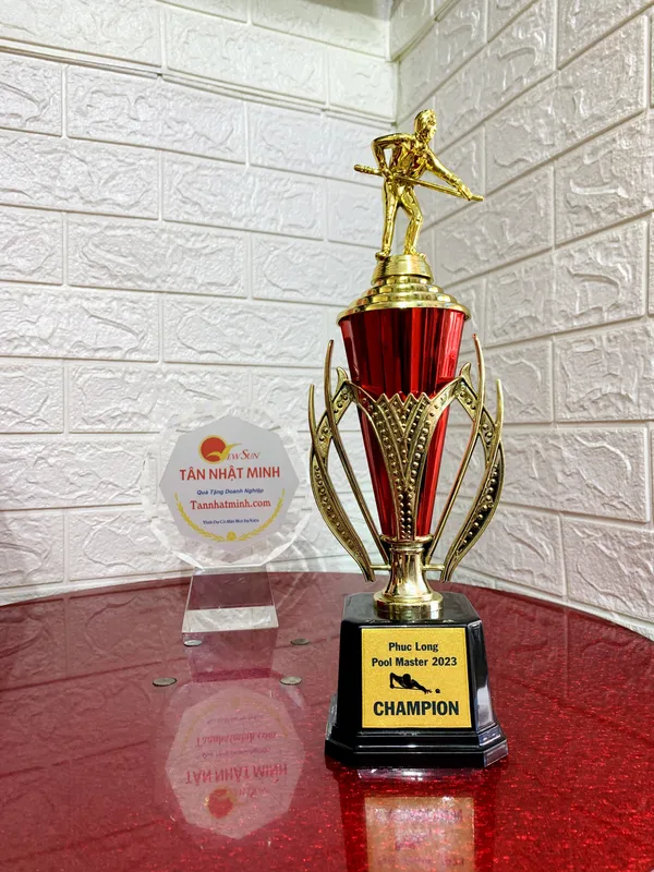 Đặt Mua Cúp Bida Giá Rẻ (7)