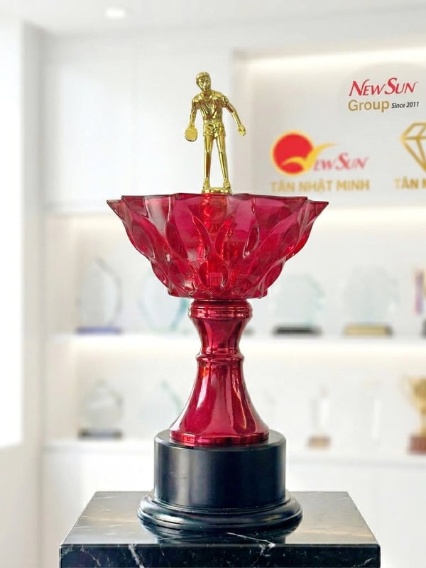 Cúp Bóng Bàn - Lưu Niệm Đẹp (4)