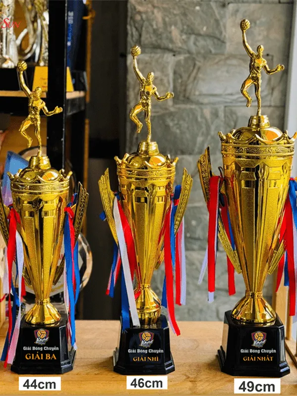 Làm Cúp Bóng Chuyền Giá Rẻ (7)