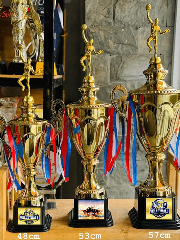 Mẫu Cúp Bóng Chuyền Đẹp (9)
