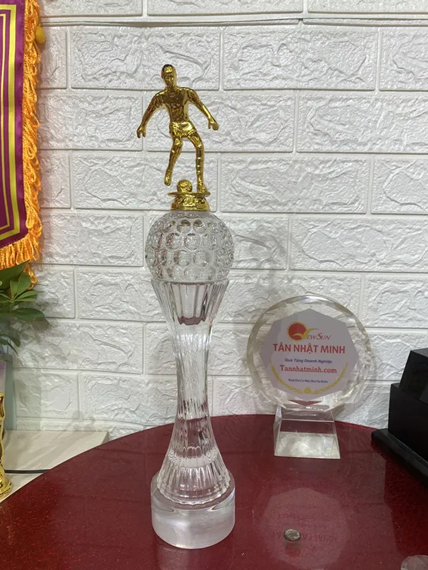 Mua cúp bóng đá, Bán cúp bóng đá - 22