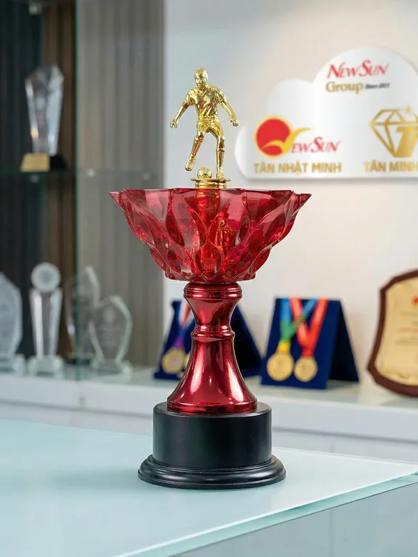 Mẫu Cúp Bóng Đá Lưu Niệm Đẹp Đa Màu 7