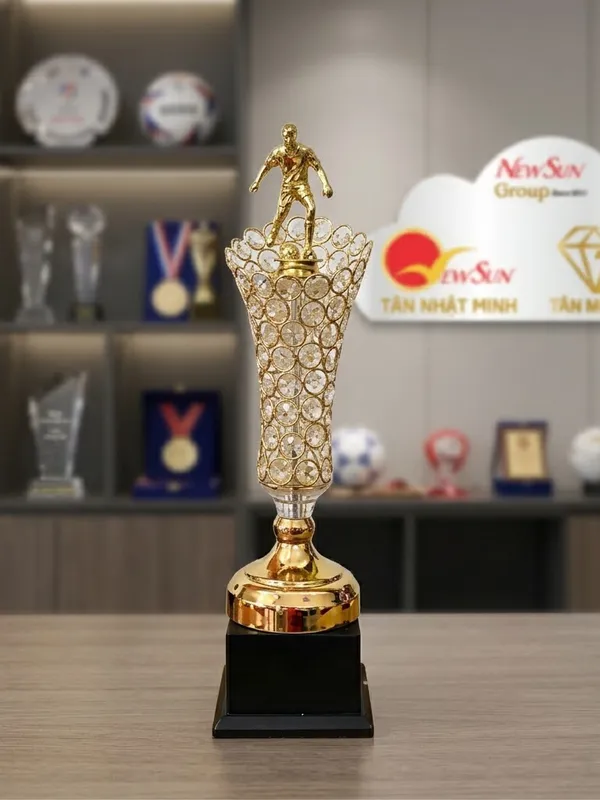 Mẫu Cúp Bóng Đá Lưu Niệm Đẹp Đa Màu 9