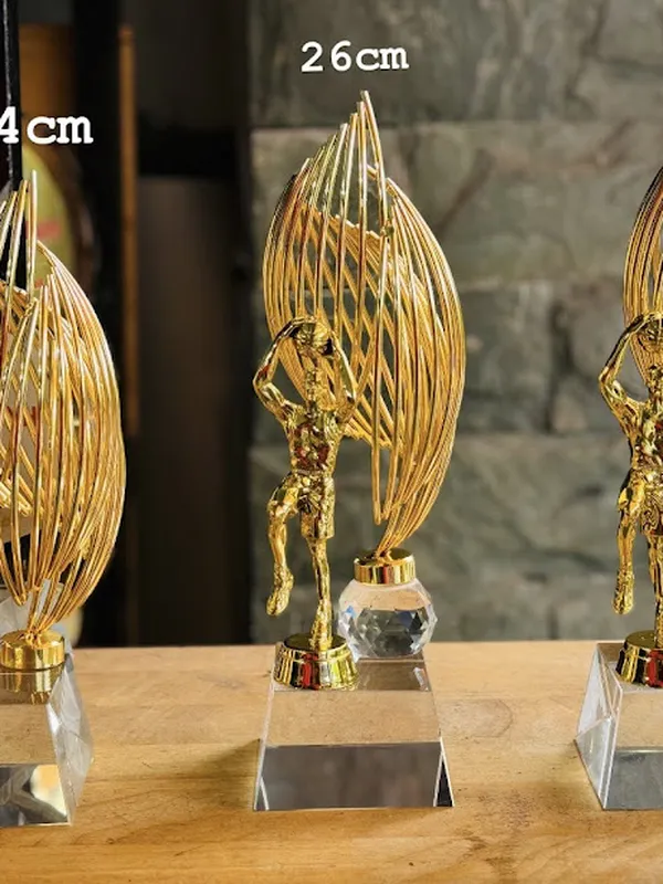 Cúp Bóng Rổ Trao Giải - Cúp Bóng Rổ Thể Thao - Mẫu Đẹp 2024