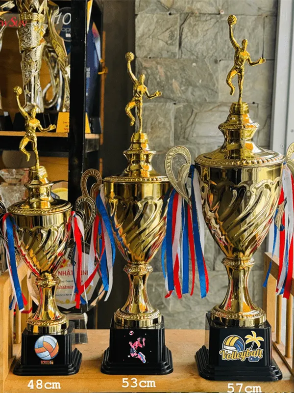 Mẫu Cúp Bóng Chuyền Đẹp (10)