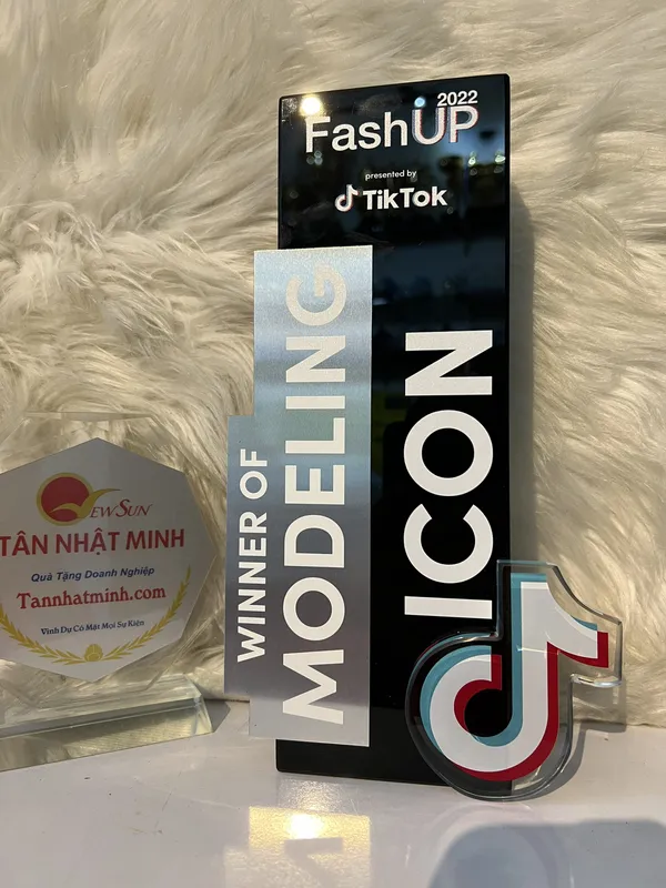 Cúp vinh danh, Cúp pha lê đẹp, Cao cấp -15