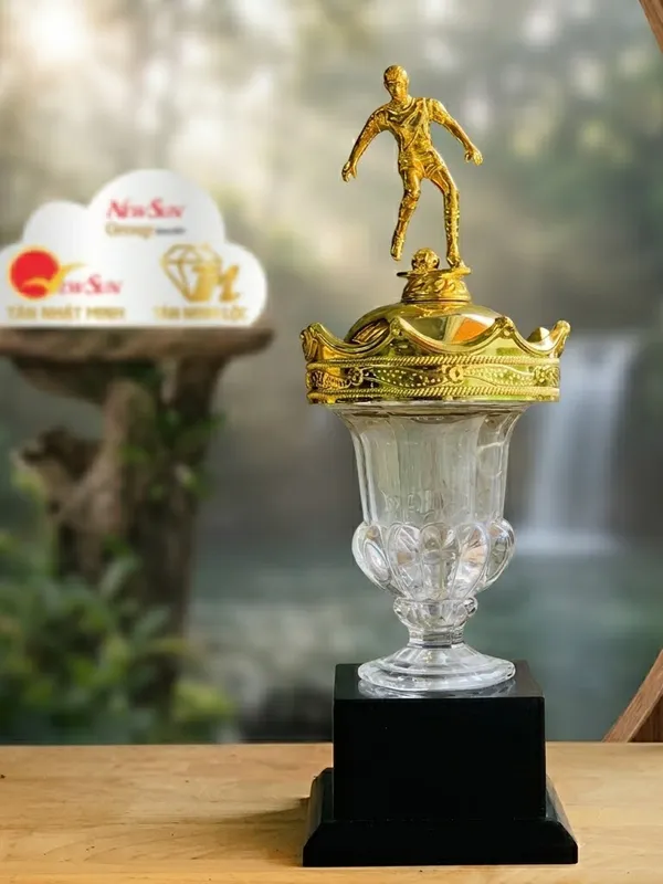 Mẫu Cúp Bóng Đá Lưu Niệm Đẹp Đa Màu 10