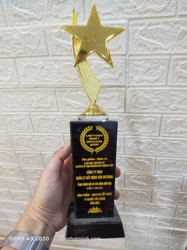 Cúp pha lê giá rẻ 35