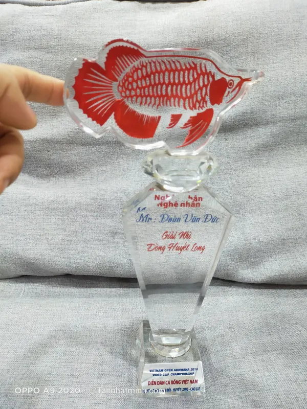 Cúp pha lê giá rẻ 39