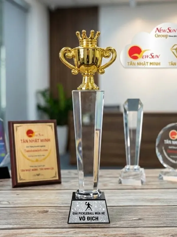 Mẫu Cúp Pickleball pha lê đẹp mới (33)