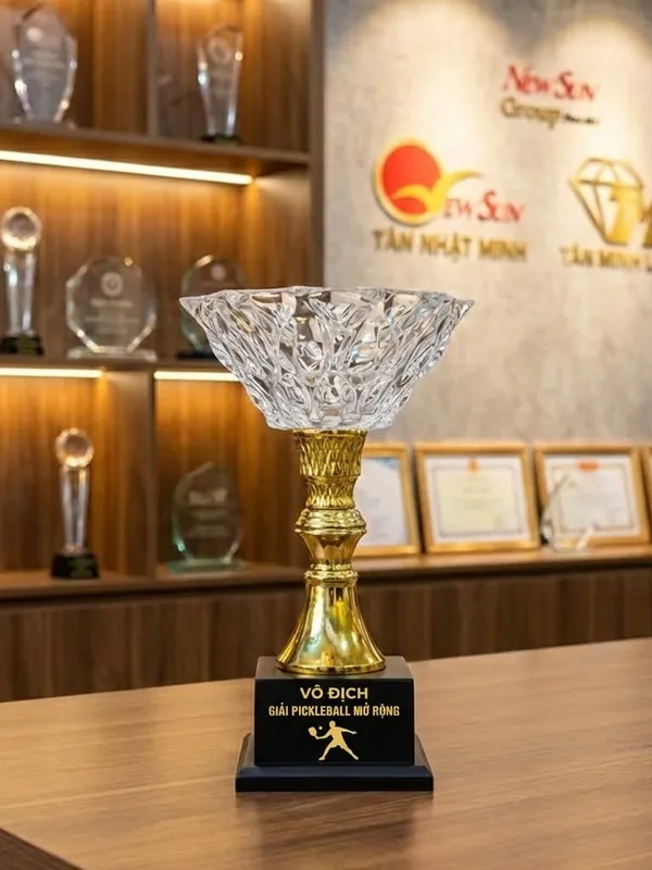 Mẫu Cúp Pickleball pha lê đẹp mới (30) (1)