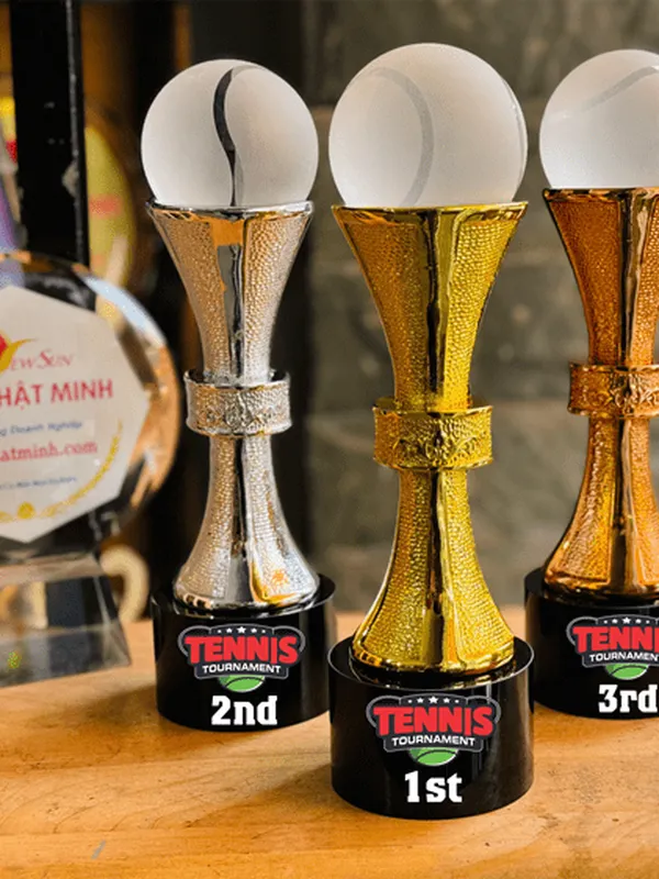 Cúp Vinh Danh, Lưu Niệm Mạ Vàng 13