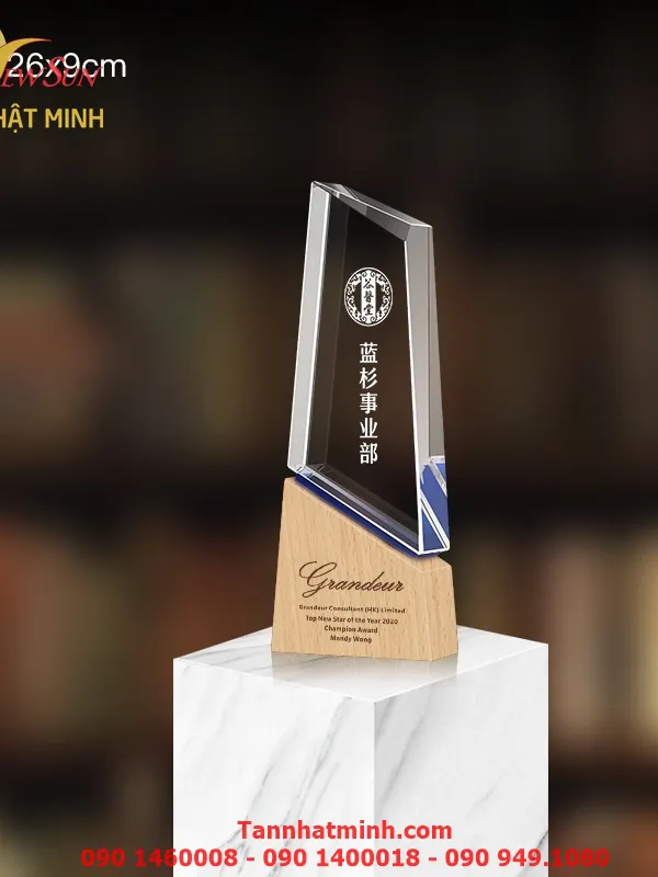 Cúp vinh danh, Cúp pha lê đẹp, Cao cấp -24